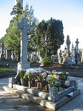 Michael Collins (Irish leader) - Wikipedia