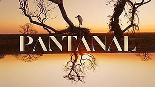 <i>Pantanal</i> (2022 TV series) Brazilian TV series or program