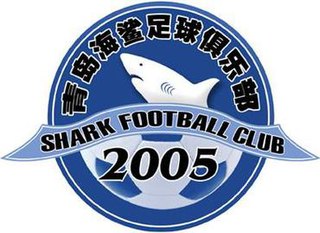 Hebei Xuechi F.C. Football club