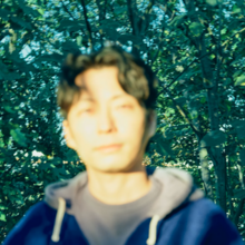 The double A-side cover to "Why" / "Life". It shows a blurry Hoshino in a dark blue hoodie and light gray T-shirt, above a green forest background.