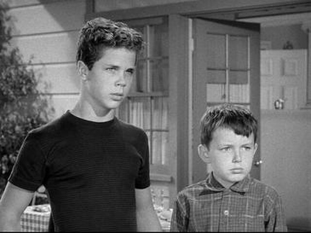 Wally and Beaver Cleaver (Tony Dow and Jerry Mathers)