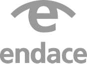 Endace logosu