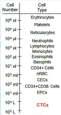 Number of various types of blood cells in whole blood versus CTCs. FrequencyOfCTCinBlood.JPG