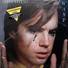 Shaun Cassidy Wasp.jpg