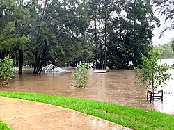 Floodwaters swamp a picnic area in western Sydney. 2021 floods.jpg