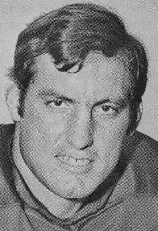 <span class="mw-page-title-main">Grady Allen</span> American football player (1946–2012)