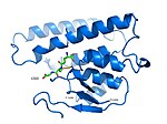 Thumbnail for Bacterial glutathione transferase