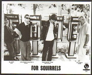 <span class="mw-page-title-main">For Squirrels</span> American alternative rock band