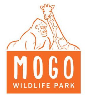 Mogo Zoo