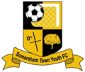 Thumbnail for File:Somersham Town FC.PNG