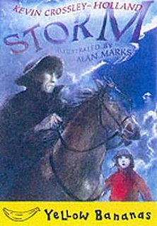 <i>Storm</i> (novella)