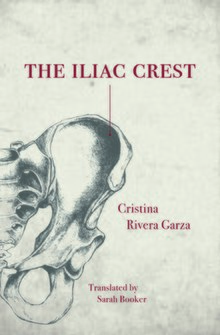 Iliac Crest романының мұқабасы art.jpg