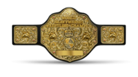 The belt's fifth design: "Big Gold Belt" (1986-1993) WCW World Championship.png