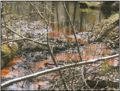 Typical iron-bearing groundwater emerging as a spring. The iron is oxidized to ferric hydroxide upon encountering the oxidizing environment of the sur