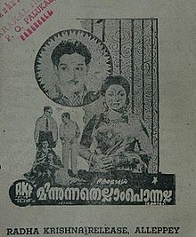 Minnunnathellam Ponnalla.jpg