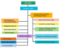 Organizational Chart of National Defence University, Pakistan