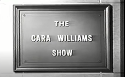 O cartão de título do Cara Williams Show. PNG