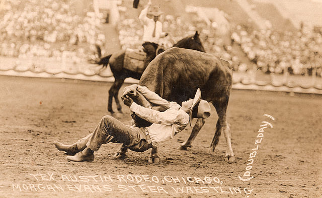 Bulldogging photo of "Cowboy Morgan Evans", 1927 World Champion