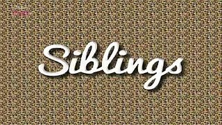 <i>Siblings</i> (TV series) television series