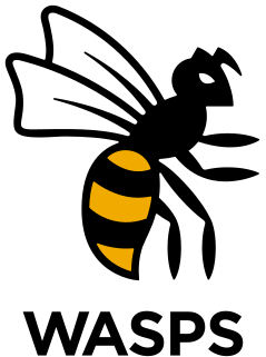 Wasps RFC Professional rugby team based in Coventry, England