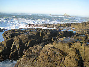 Cape arago.jpg