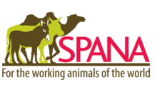 Society for the Protection of Animals Abroad logo SPANA logo.png