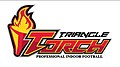 Triangle Torch Logo.jpg