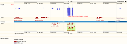 Visualisation of a custom track labelled "Reads" in Ensembl Genomes Data upload to ensembl genomes.png