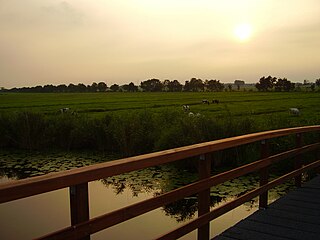 <span class="mw-page-title-main">Donkse Laagten</span> Protected area in South Holland, Netherlands