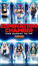 <span class="mw-page-title-main">Elimination Chamber (2020)</span> WWE pay-per-view and livestreaming event