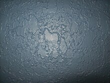 Heavy knockdown applied with a spray hopper. Knockdown texture.jpg