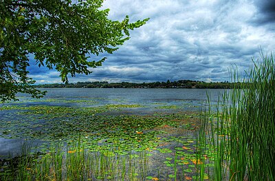 Lake Scugog