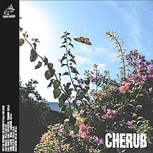 Cherub by Ball Park Music.jpg