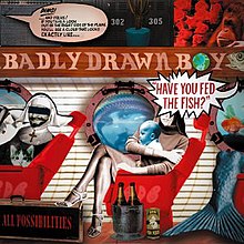 badly drawn boy discography