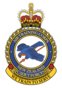 New Zealand Air Training Corps.png 