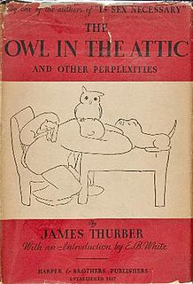 <i>The Owl in the Attic and Other Perplexities</i>