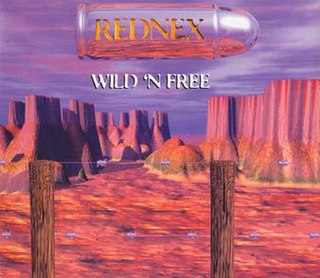 <span class="mw-page-title-main">Wild 'N Free</span> 1995 single by Rednex