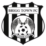 Briggtownfc.png