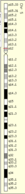 Human chromosomal position of C5orf34 gene on the short arm of chromosome 5. C5orf34 chrom.png