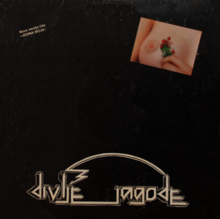 Divlje Jagode Album Cover.png