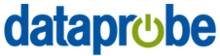 Dataprobe Inc.png logosu