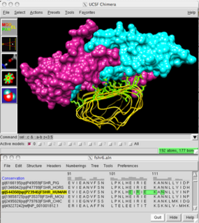 UCSF Chimera software for visualization and analysis of molecular structures