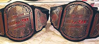 Impact World Tag Team Championship Championship created and promoted by the American professional wrestling promotion Impact Wrestling