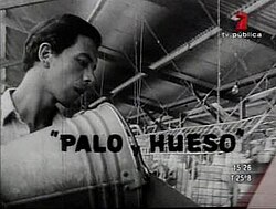 Palo y Hueso.jpg