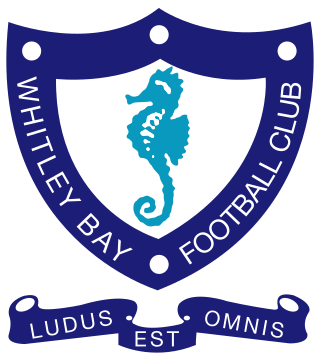 <span class="mw-page-title-main">Whitley Bay F.C.</span> Association football club in England