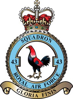 No. 43 Squadron badge