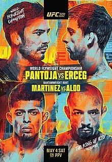 UFC 301 poster.jpg