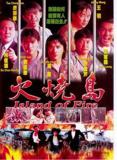 <i>Island of Fire</i> 1990 Taiwanese film