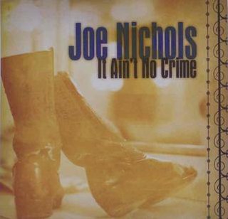 It Aint No Crime 2007 single by Joe Nichols