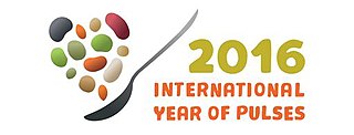 International Year of Pulses